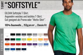 010sofstyle